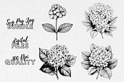 Hydrangea SVG - Flowers Clip Art, an Illustration by YouniqueArtwork (Thumbnail 1 of 5)