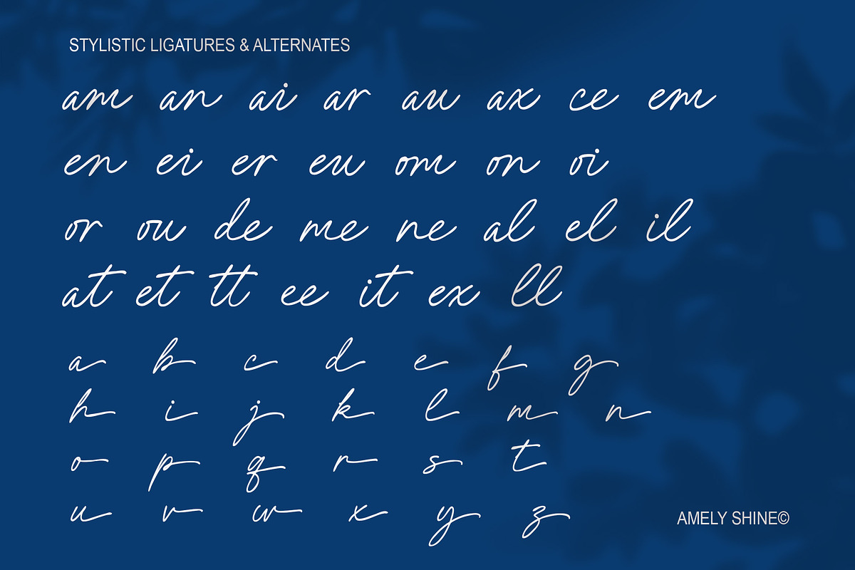 Amely Shine - Beautiful Script Font, a Font by Salamahtype (Photo 7 of 8)