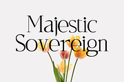 Wilajeng - Classy Elegant Serif Font, a Serif Font by Elmous (Thumbnail 2 of 11)