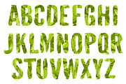 Green Leaves Alphabet [Vector], an Object Graphic by Chuhastock (Thumbnail 1 of 8)