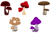Mushroom Clipart Set, an Illustration by Expose_Adam (Thumbnail 2 of 3)