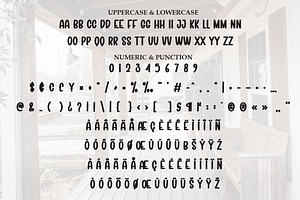 Minimalist Farmhouse Script Font