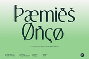 CS Agnella Drawn, a Serif Font by Craft Supply Co. (Thumbnail 5 of 8)