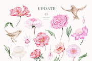 Peach peonies, roses, garden flowers, an Illustration by astelenadesign (Thumbnail 15 of 16)