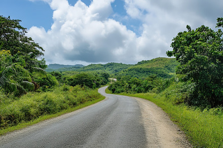 Country road winding through lush gr, a Photo by Iftikhar Alam