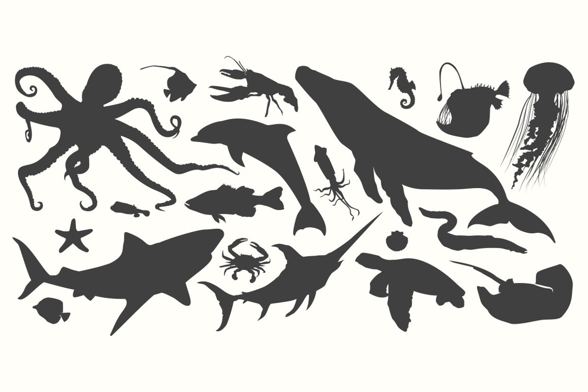 Sea Creature Silhouettes, an Animal Illustration by Cheeky Lemons (Photo 2 of 2)