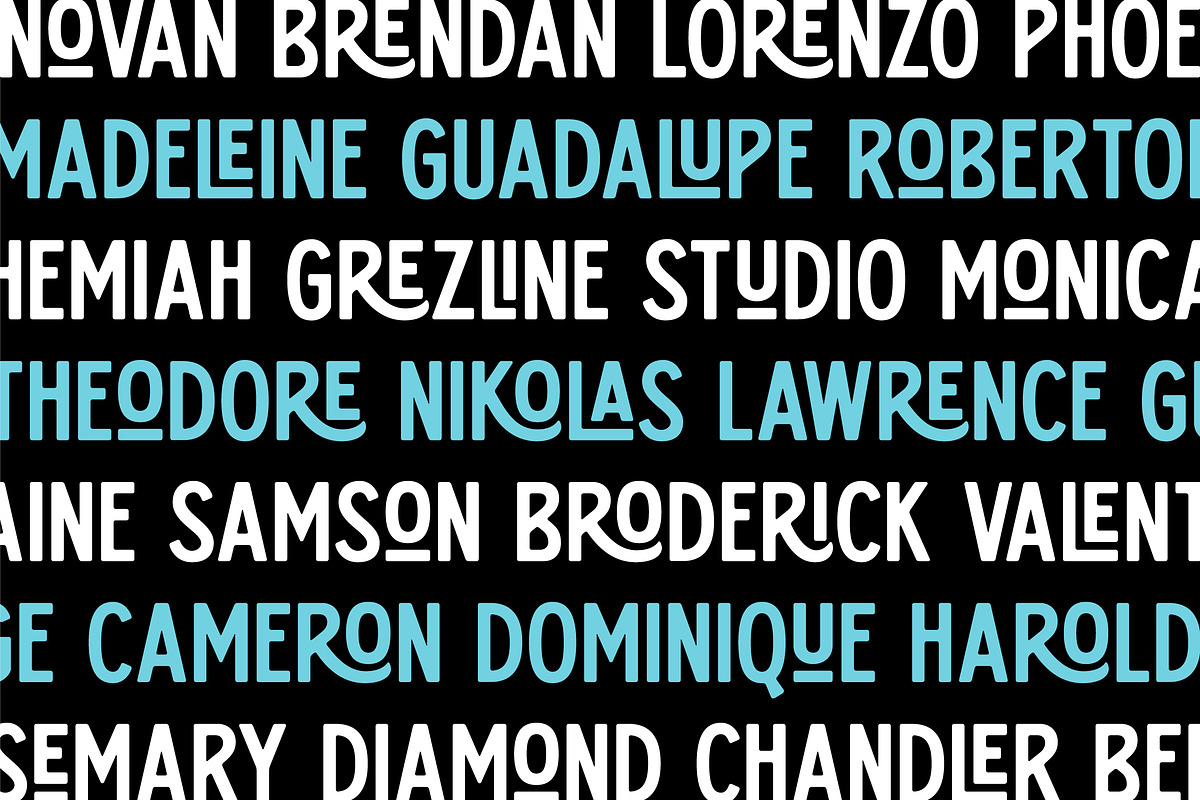 Juliette Collin - Vintage Font Famil, a Script Font by Grezline Studio (Photo 6 of 13)