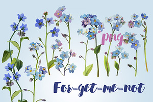 Watercolor set - forget-me-nots