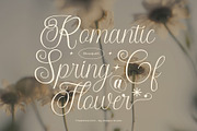 Theafalina - Beauty Elegant Script, a Script Font by Aksapix Studio (Thumbnail 6 of 10)