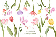 Watercolor Tulips Clipart, a Decorative Illustration by ArtGiftsStudio (Thumbnail 1 of 6)