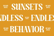 Dusty Brothe Groovy Serif Display, a Serif Font by timelesstype.co (Thumbnail 13 of 20)