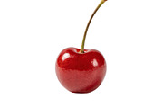 All Fruits Bundle Master Collection, a Food & Drink Photo by FlyeredTemplate (Thumbnail 98 of 130)