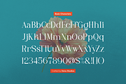 Lyodia Lover | Modern Display Serif, a Serif Font by Denustudios (Thumbnail 9 of 11)