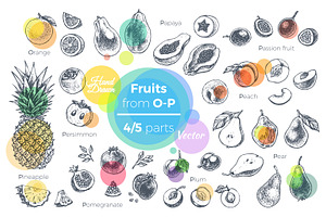 Fruits - Hand Drawn Vector Set