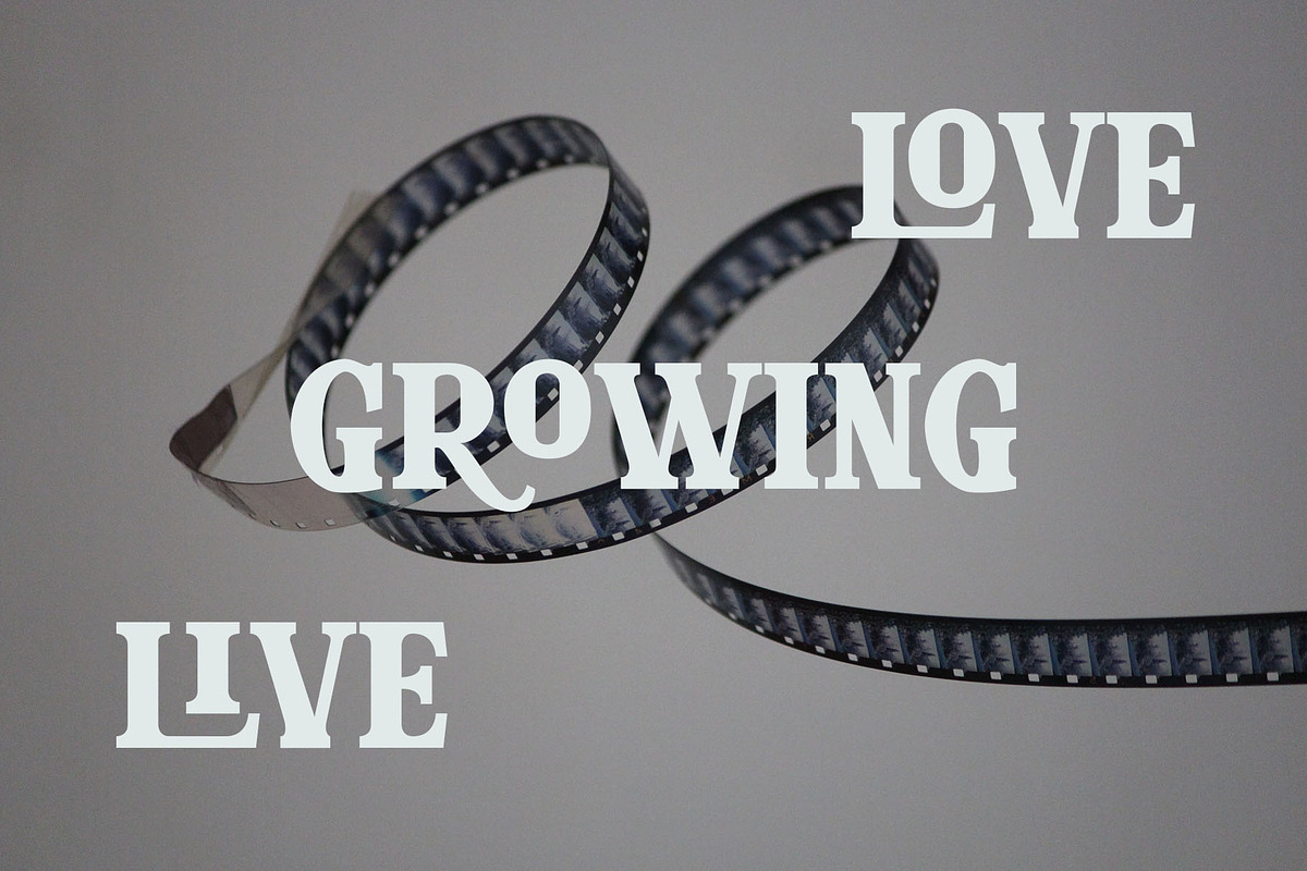 Glaster Elegant Ligature Serif Font, a Serif Font by Font Kingdom (Photo 3 of 11)