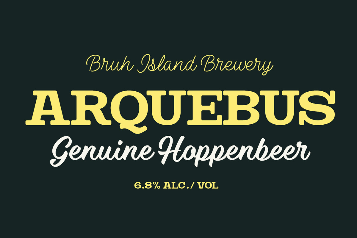 Steak & Cheese Bundle, a Slab Serif Font by Fenotype (Photo 14 of 14)