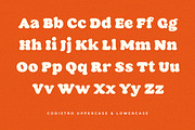 Codistro - Soft Retro Classic, a Serif Font by Typia Nesia (Thumbnail 2 of 11)