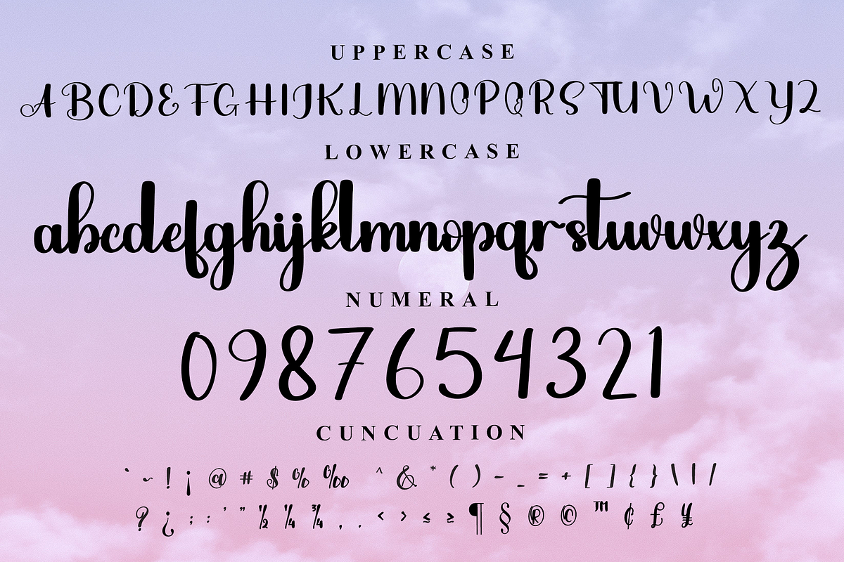 Snow Leopard, a Handwritten Font by InermediaSTUDIO (Photo 6 of 7)