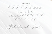 Flavinda Wedding Calligraphy Font, a Script Font by RantautypeStudio (Thumbnail 15 of 16)