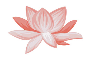 Pink Lotus Flower As China Object