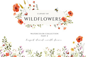 Wildflowers. Delicate watercolor set
