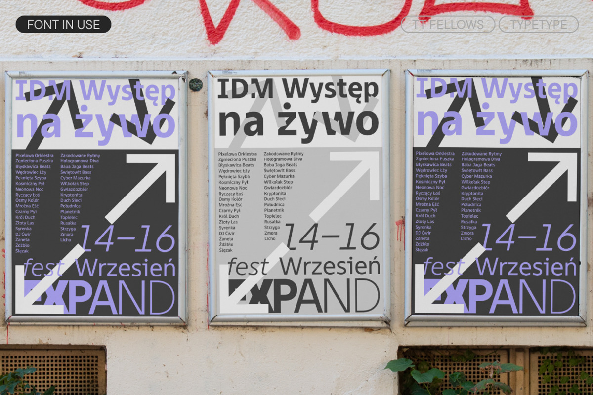 TT Fellows, a Sans Serif Font by TypeType (Photo 9 of 15)