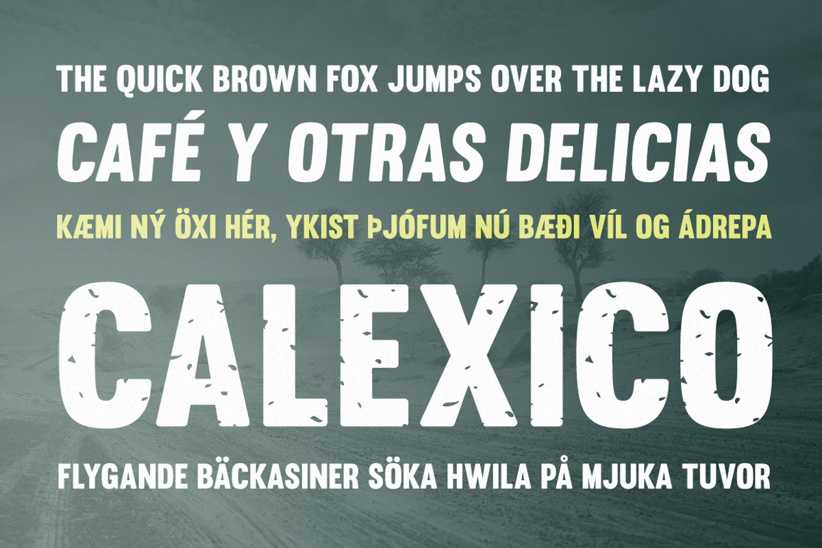Calexico, a Sans Serif Font by La Tipomàtica (Photo 5 of 13)