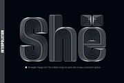Nicon, a Sans Serif Font by Sign Studio (Thumbnail 11 of 15)