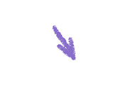 Crayon Doodle Chalk Arrow Sign, an Object Illustration by Elena Pimukova (Thumbnail 21 of 27)