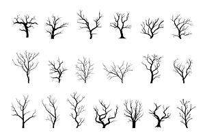Bare trees black silhouettes, an Illustration by LadadikArt