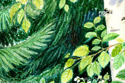 Fresh Birch Forest, an Object Illustration by yahu88studio (Thumbnail 2 of 3)