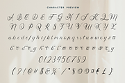 Skipten - Script Handwritten Font, a Script Font by Pekotype (Thumbnail 2 of 11)