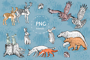 Forest animals, trees, mushrooms., an Animal Illustration by lilisavelieva (Thumbnail 2 of 6)
