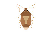 Brown Plant Bug Insect, a Solid Icon by Buqancreative (Thumbnail 1 of 2)