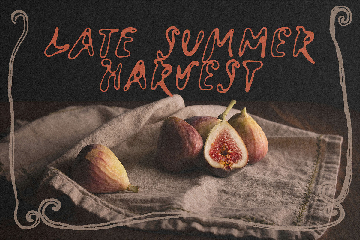 Lava de Vie outline handwritten font, a Handwritten Font by TD fonts (Photo 3 of 10)