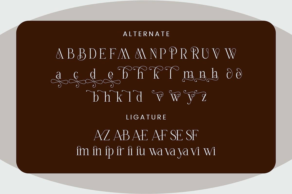 Molevin - Elegant Serif Font, a Serif Font by Aqeel_Art (Photo 12 of 13)