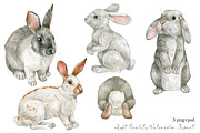 Watercolor white bunny clipart, an Animal Illustration by yana.fefelova (Thumbnail 2 of 4)