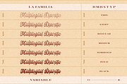 Thanjavur – Variable Display Script, a Script Font by Bombastype (Thumbnail 4 of 11)