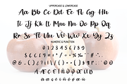 Apple | Script Font, a Script Font by Scratchones (Thumbnail 3 of 8)