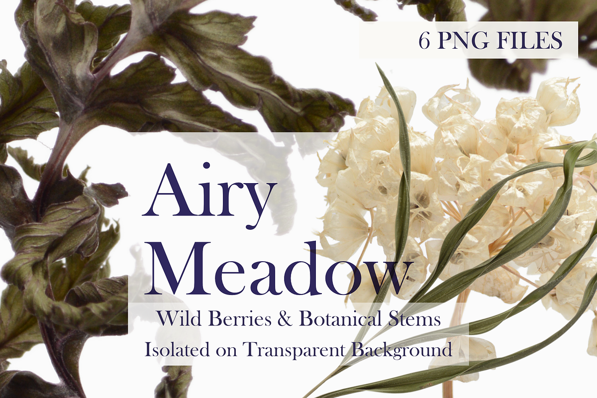 Airy Meadow Close Up Florals, an Object Graphic by Aga Silva (Photo 2 of 6)