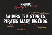 Arinoe - Vintage Font, a Sans Serif Font by Zarma Type (Thumbnail 3 of 12)