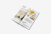 DL Magazine Mockup, a Product Mockup by MrLetters (Thumbnail 4 of 5)