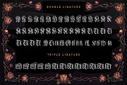 Silver Shard Typeface, a Blackletter Font by alit design (Thumbnail 17 of 20)