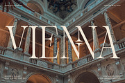 Bespoke Display - Serif & Script Duo, a Serif Font by SilverStag Type Foundry (Thumbnail 19 of 36)