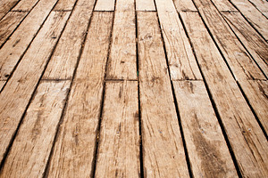 Wood and Water, a Nature Photo by THP Creative