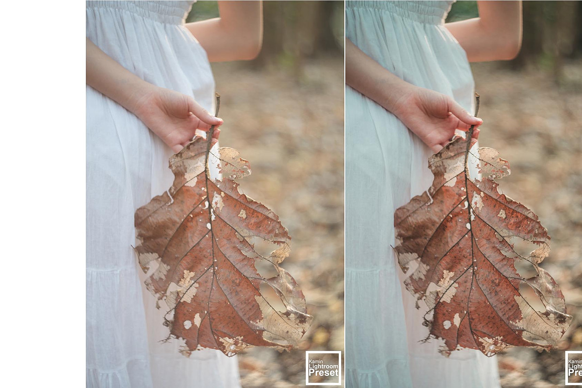 Kamin Fall Season, an Action Add-On by Kamin Lightroom Preset (Photo 16 of 17)