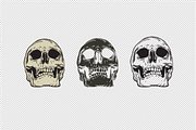 Vector Skulls | Illustration set, a Texture Illustration by GRPXSTORE (Thumbnail 3 of 3)