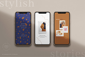 Animated Stylish Instagram Story