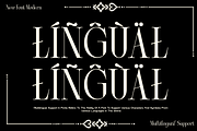 Diolin - Modern Luxury Serif, a Serif Font by MaikoHatta (Thumbnail 7 of 7)