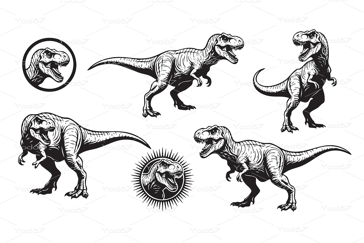 Set of Tyrannosaurus Rex dinosaurs, an Animal Illustration by yod67